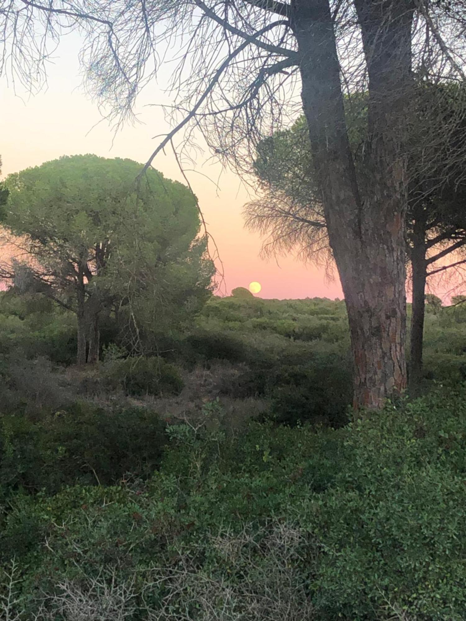 Casa Rural Los Pepe Sancti Petri Chiclana de la Frontera Eksteriør billede